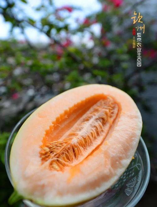 吃瓜看本质,揭开事件背后的真相