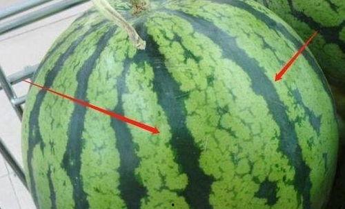 吃瓜看瓜讨论小组,畅谈娱乐圈风云变幻