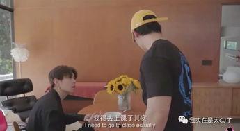 vlog吃瓜看剧,吃瓜看剧,揭秘娱乐圈幕后故事