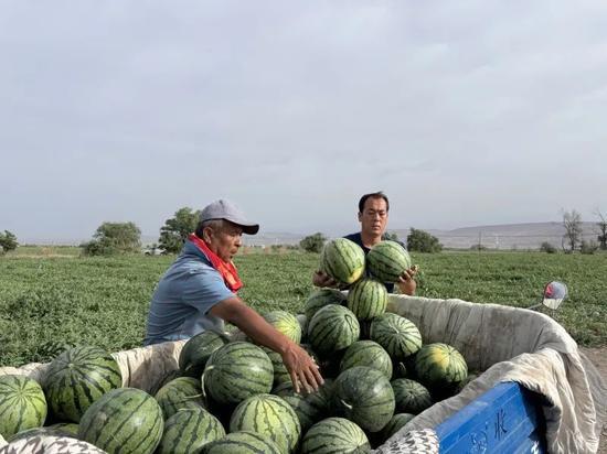 每天都在吃瓜现场,现场直击娱乐圈风云变幻