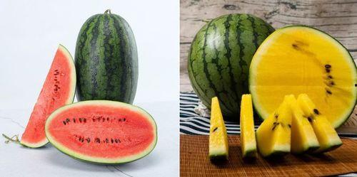 吃瓜09,一场全民参与的娱乐盛宴