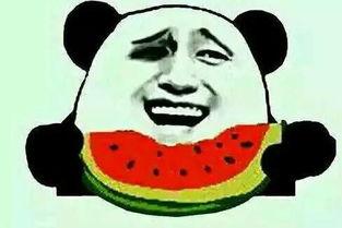 吃瓜导师,一场关于成长与启示的深度对话