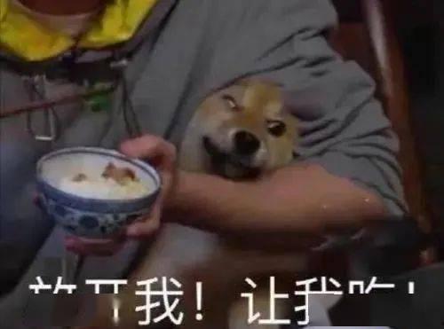 爷爷带你吃瓜,爷爷带你走进甜蜜瓜果的世界