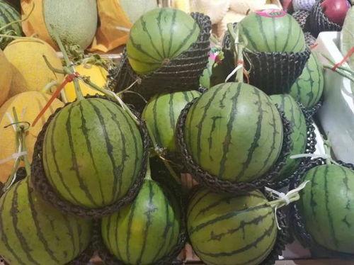 黄十七队长吃瓜,揭秘娱乐圈幕后风云