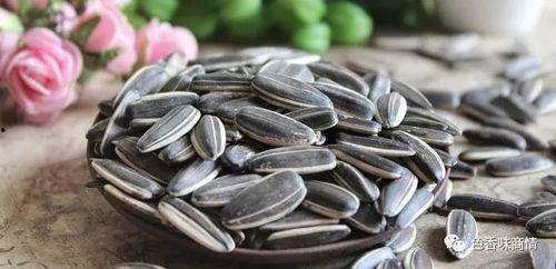 无事吃瓜嗑瓜子,瓜田里嗑瓜子,品味生活百态