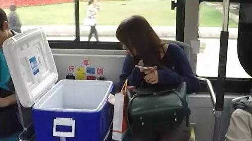 上海公交吃瓜群众,吃瓜群众的日常观察与热议