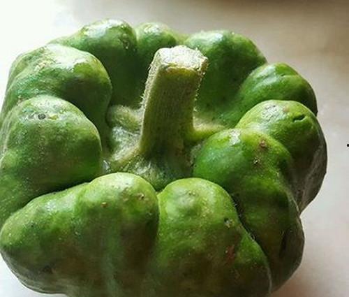 吃姜饼瓜可以减肥吗,美味与瘦身两不误