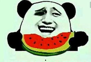 吃瓜哪能买,吃瓜爱好者必看!轻松选购优质瓜果指南