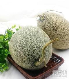 能不能和哈密瓜一起吃,揭秘哪些食物能与哈密瓜完美搭配