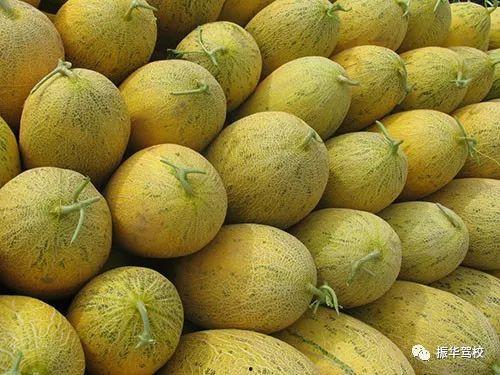 查看吃哈密瓜,探寻新疆瓜果的天然魅力