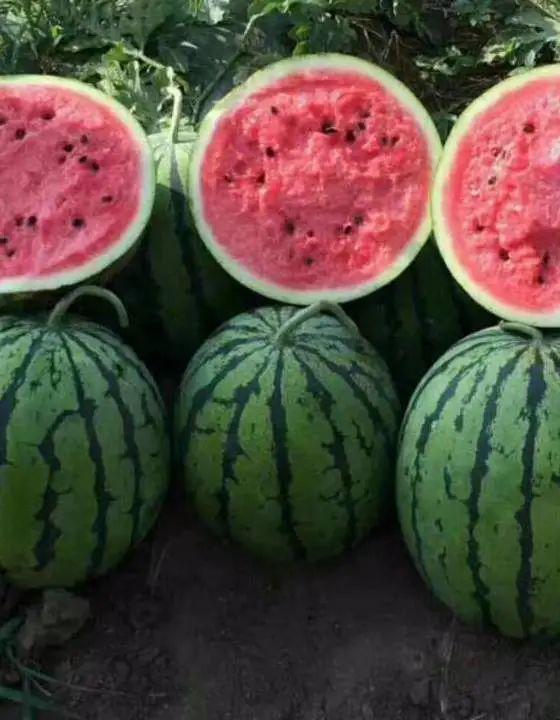 吃30个瓜,畅享30个瓜果的甜蜜时光