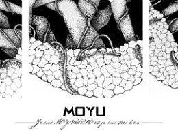 UN NE吃瓜,揭秘吃瓜群众的全球影响力