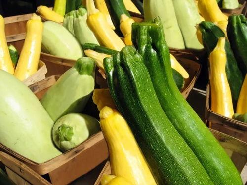 带你吃瓜淄博,带你吃遍“带你吃瓜”特色小吃