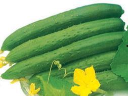 吃瓜系统完结版,揭秘娱乐圈背后的秘密与真相