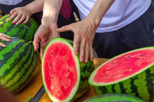 学校吃瓜校园,揭秘校园里的那些事儿