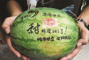 景谦吃瓜,揭秘娱乐圈背后的那些事儿