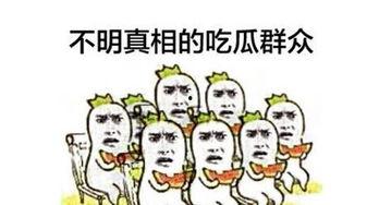 国产吃瓜群众,揭秘网络时代的全民娱乐现象