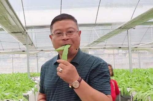 张洪涛吃瓜照片,瓜界新宠儿